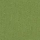 Sunbrella Upholstery Spectrum Cilantro (48022-0000)