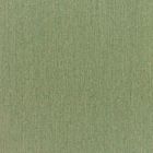 Sunbrella Upholstery Canvas Fern (5487-0000)