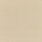 Sunbrella Upholstery Linen Champagne (8300-0000)