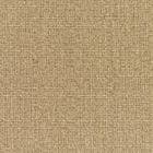 Sunbrella Upholstery Linen Sesame (8318-0000)