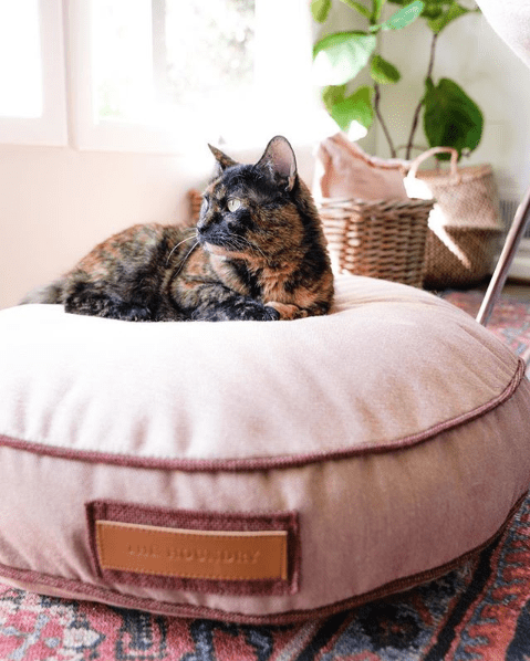 An upholstered cushion with Sunbrella fabrics perfect for the most durable dog bed or cat bed for all your furry friends.