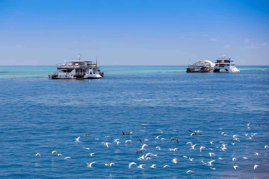 The above deck Reefsleep experience provides a premium modification of the underwater Reefsuite experience, allowing guests to sleep under the stars.