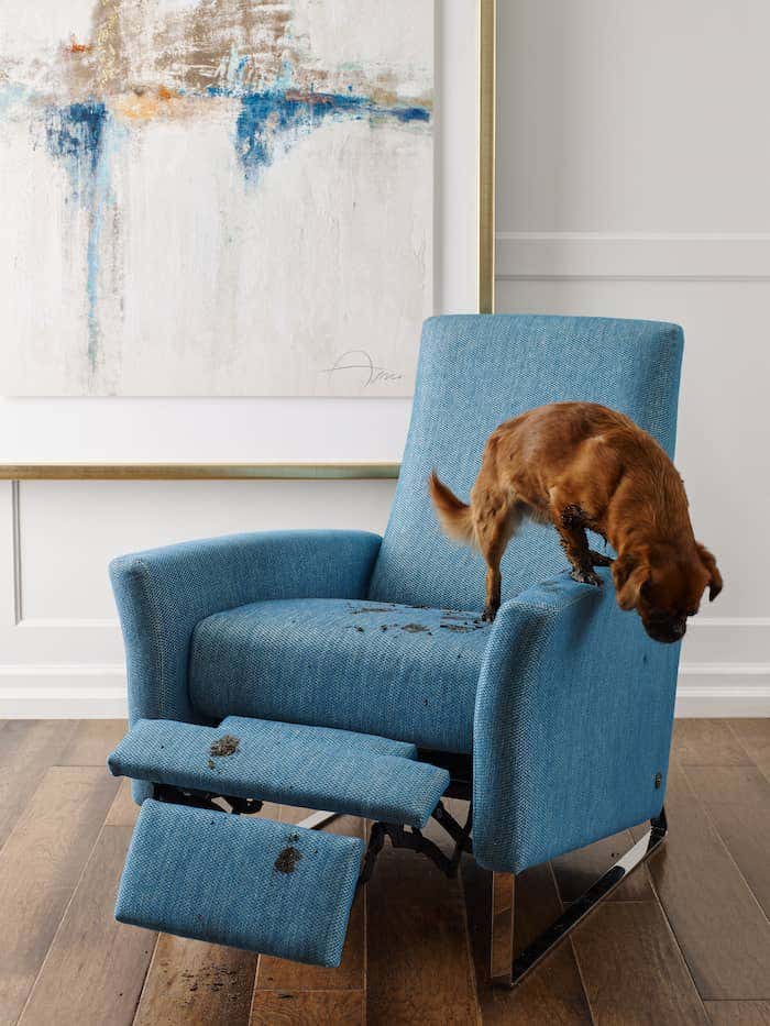 Be prepared by knowing the best way to clean upholstery fabric. Then, this adorable puppy’s muddy paws won’t threaten the beauty of this recliner upholstered with blue Sunbrella fabric. 