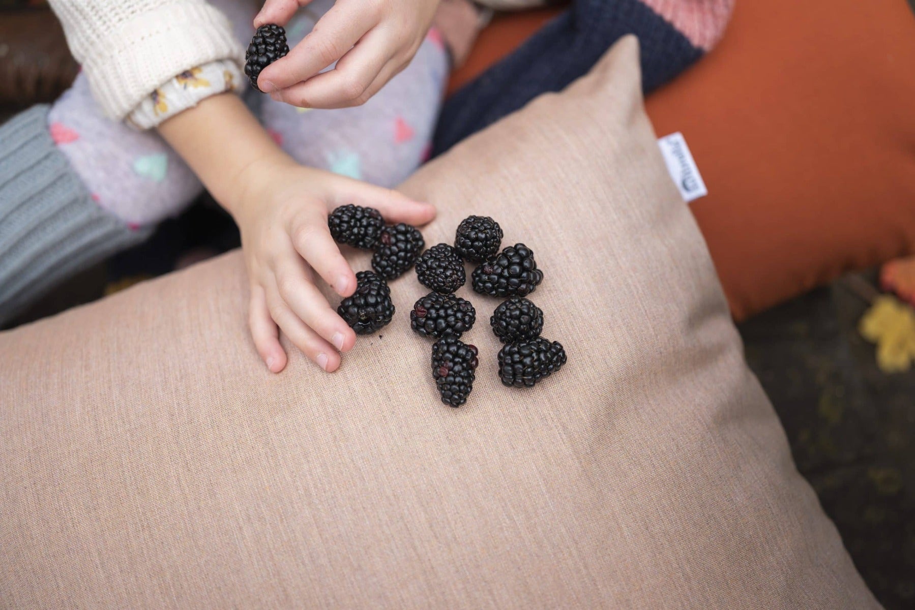 how to clean berry stain off sofa